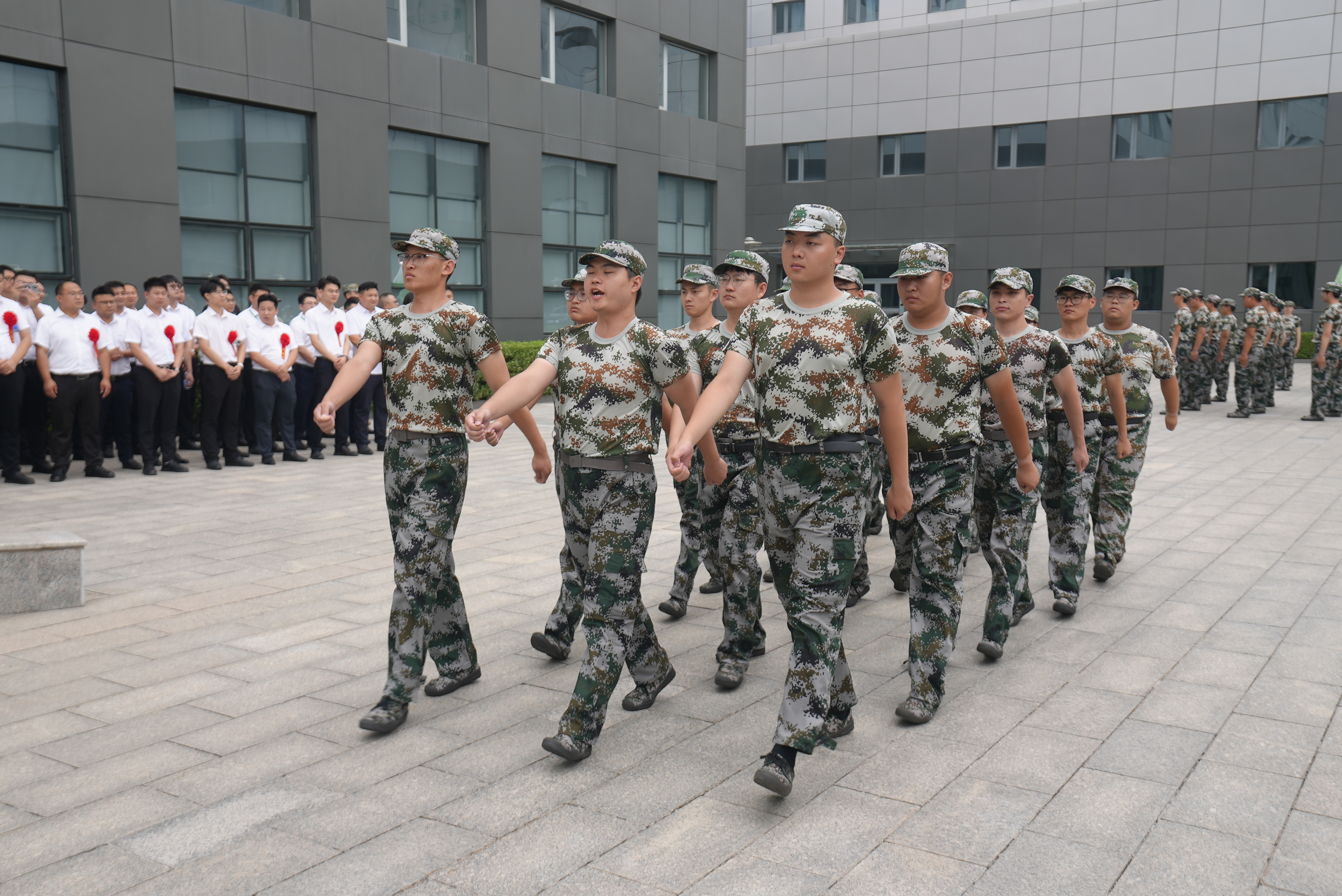 3-250H21409412I 918博天堂(中国集团)官方网站