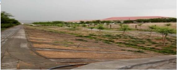 ŷ��(�й�)�ɷ����޹�˾����