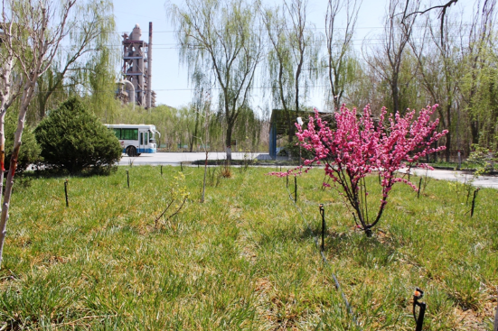 ŷ��(�й�)�ɷ����޹�˾����