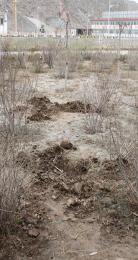 ŷ��(�й�)�ɷ����޹�˾����