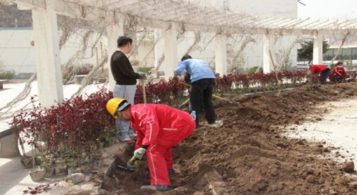 ŷ��(�й�)�ɷ����޹�˾����