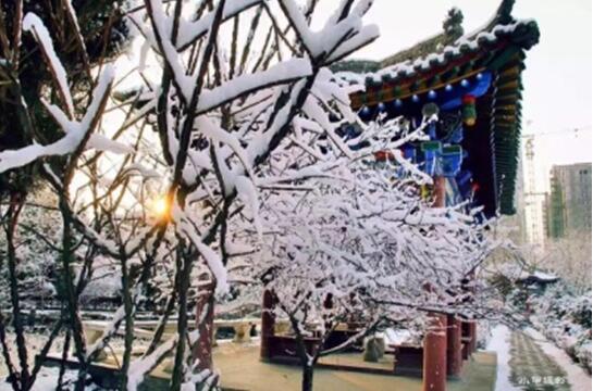 ŷ��(�й�)�ɷ����޹�˾����