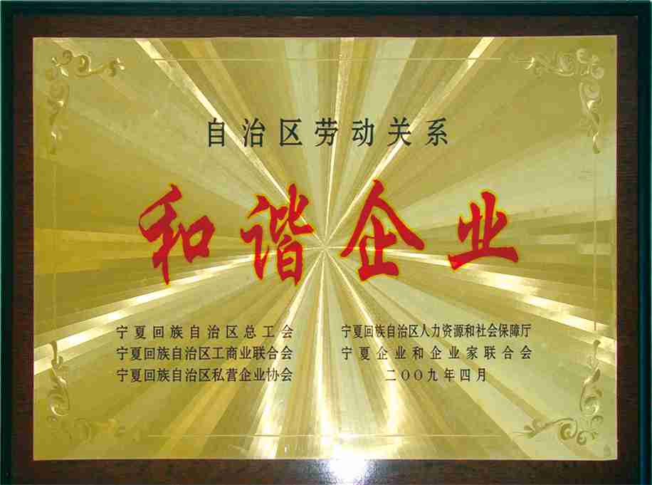 ŷ��(�й�)�ɷ����޹�˾����